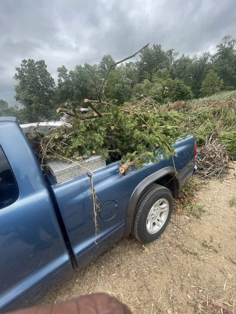 Affordable landscape design near you in New Castle, DE by Yung Kngz Lawn Care