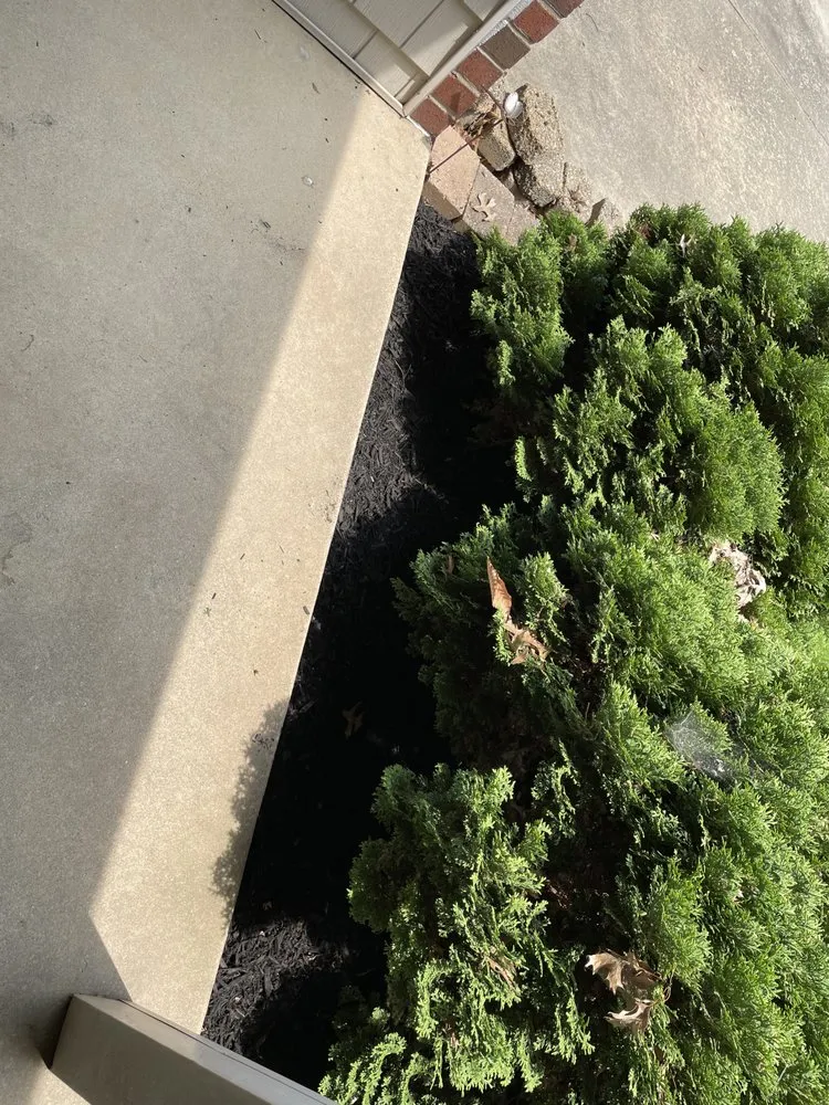 Affordable outdoor landscaping in New Castle, DE by Yung Kngz Lawn Care