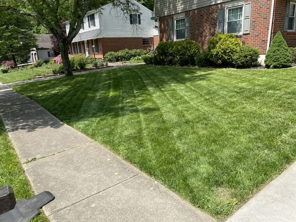 Professional garden landscaping experts serving New Castle, DE - Yung Kngz Lawn Care