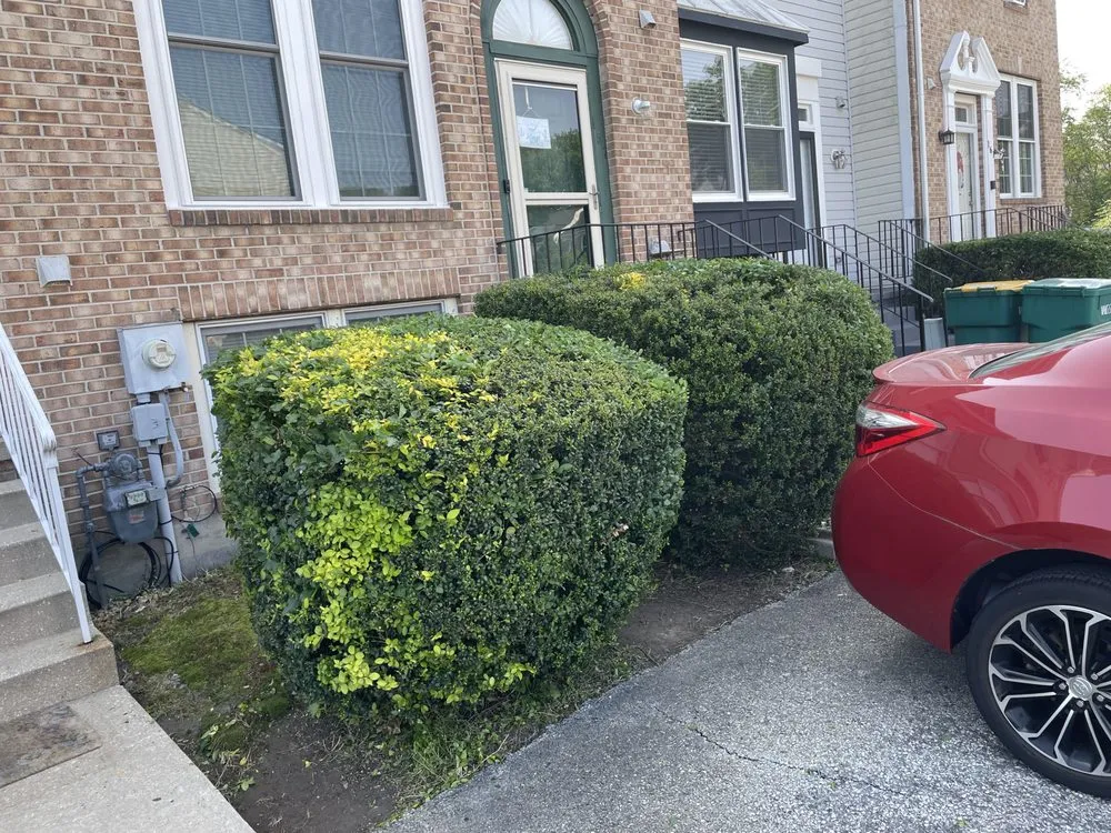 Reliable garden landscaping in New Castle, DE - Yung Kngz Lawn Care