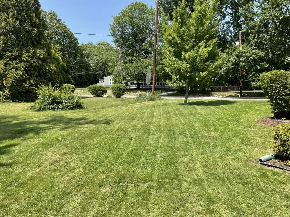 Reliable landscape design in New Castle, DE - Yung Kngz Lawn Care