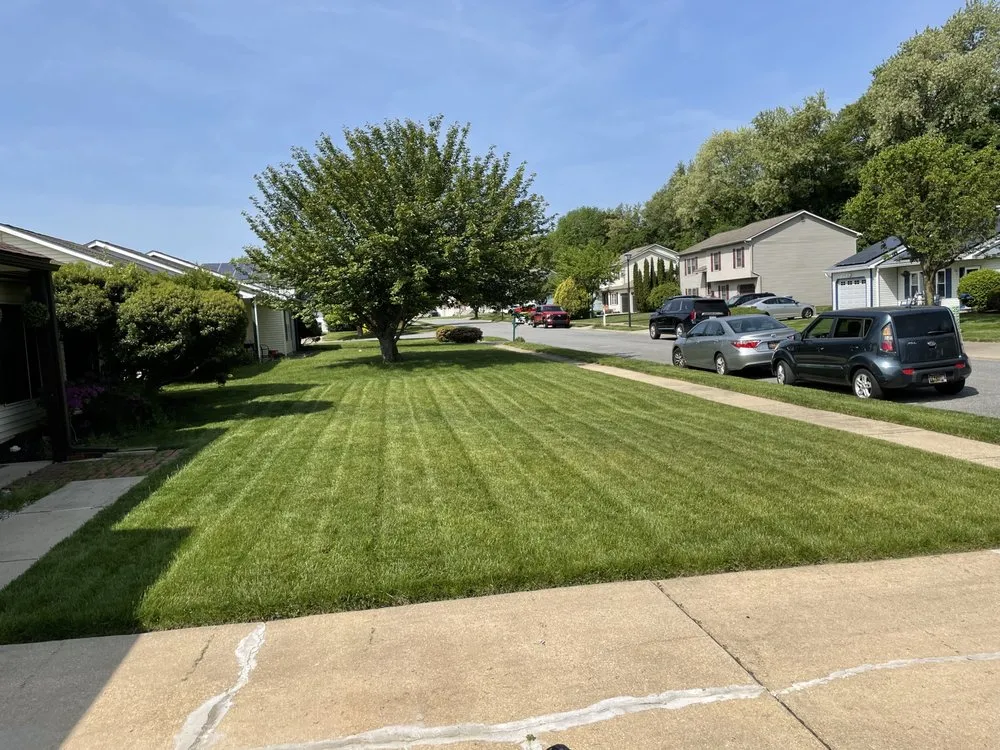 Trusted landscaping services with custom design across New Castle, DE - Yung Kngz Lawn Care