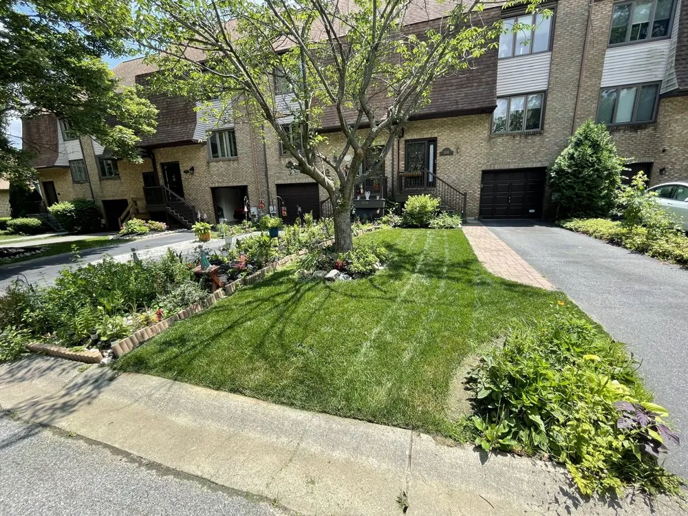 Top-rated lawn mowing service for year-round maintenance in New Castle, DE by Yung Kngz Lawn Care