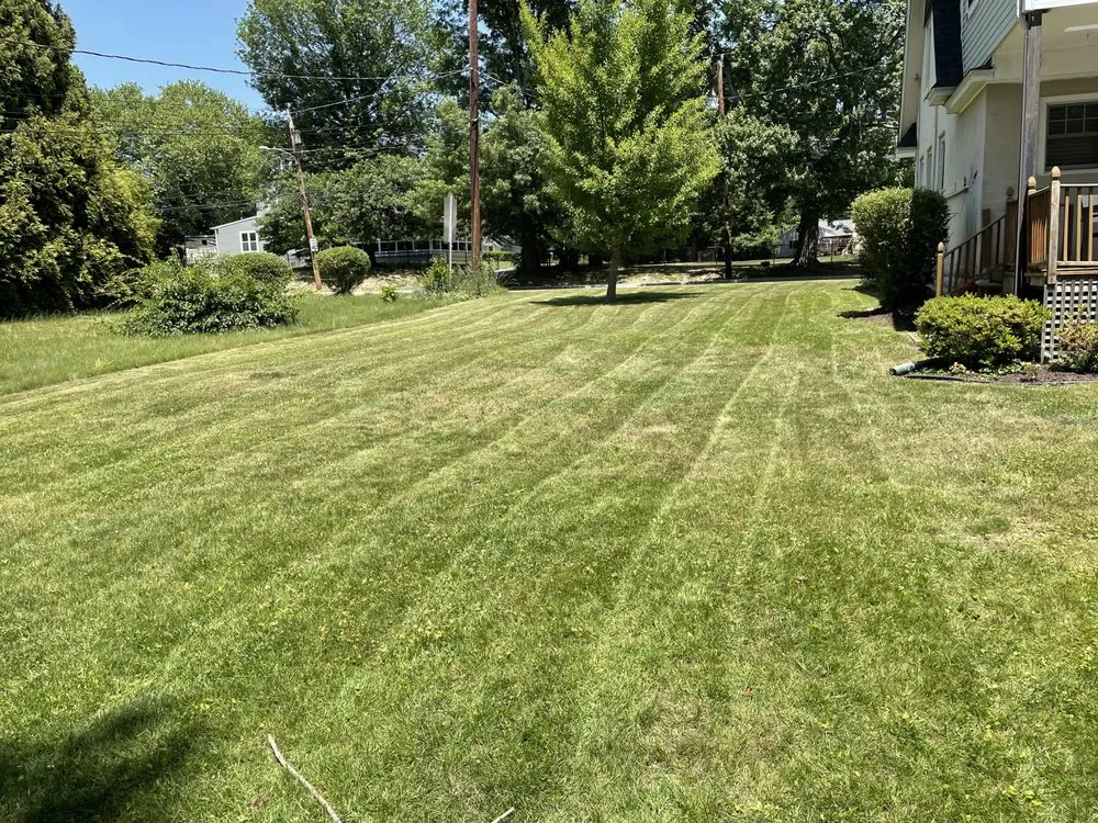 Reliable residential landscaping for residential properties across New Castle, DE - Yung Kngz Lawn Care