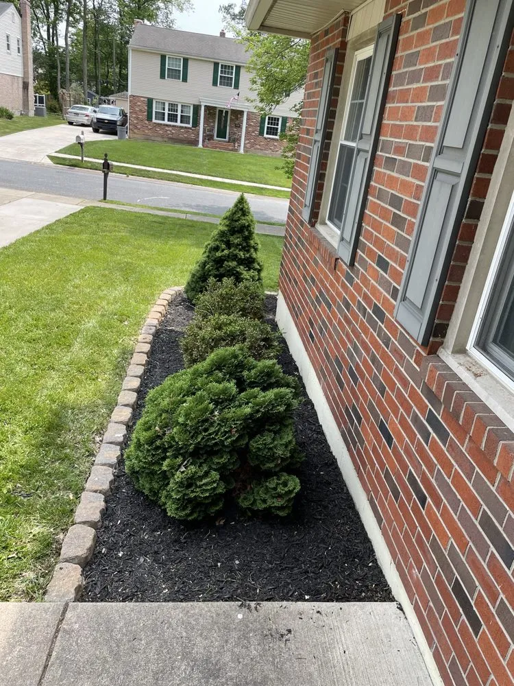 Professional outdoor landscaping for residential properties across New Castle, DE - Yung Kngz Lawn Care
