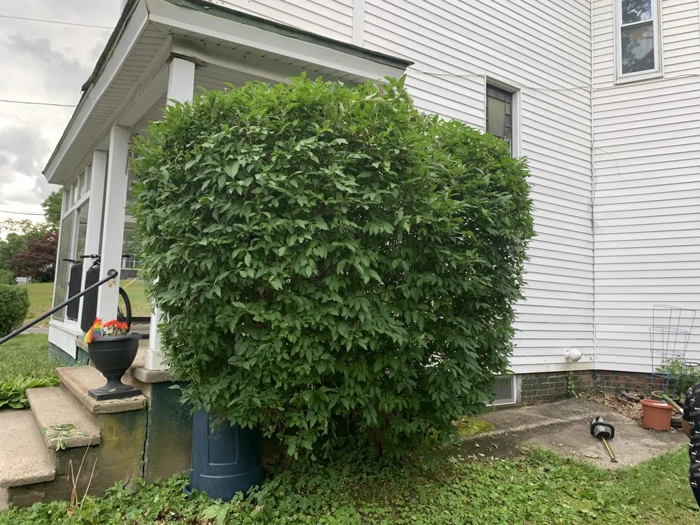 Reliable garden landscaping for homes across Northampton, MA - Yunga's landscape