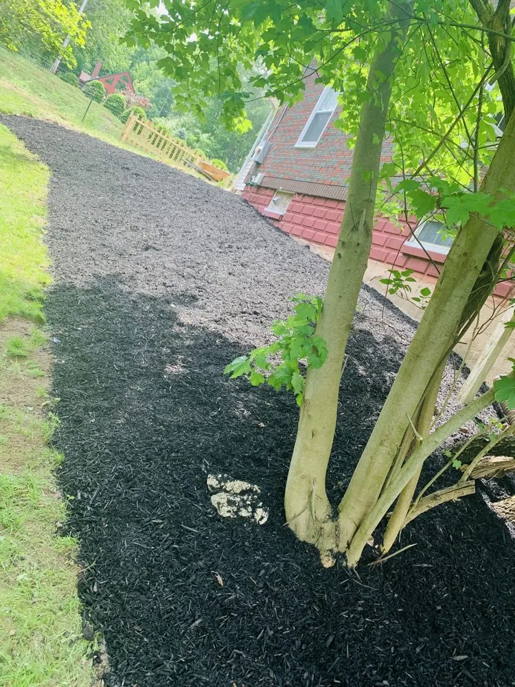 Expert lawn care service for outdoor upgrades across Northampton, MA - Yunga's landscape