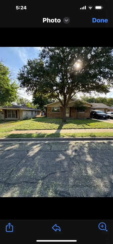 Custom residential landscaping in Waco, TX by Yungwell Lawn & Tree Service