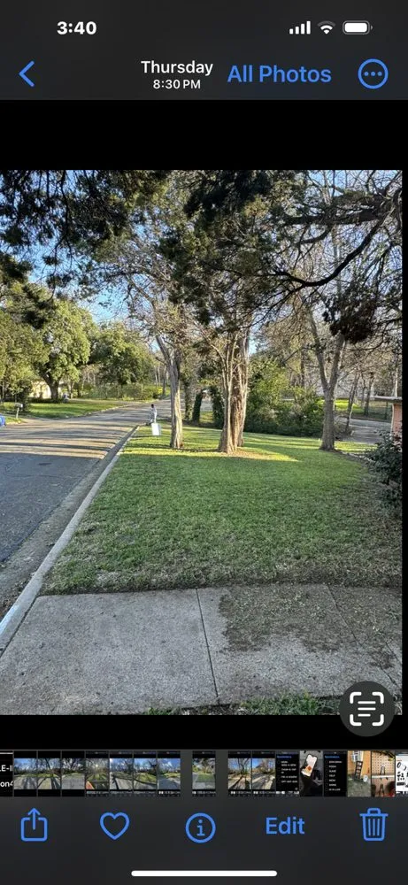 Professional lawn care service for year-round maintenance across Waco, TX - Yungwell Lawn & Tree Service