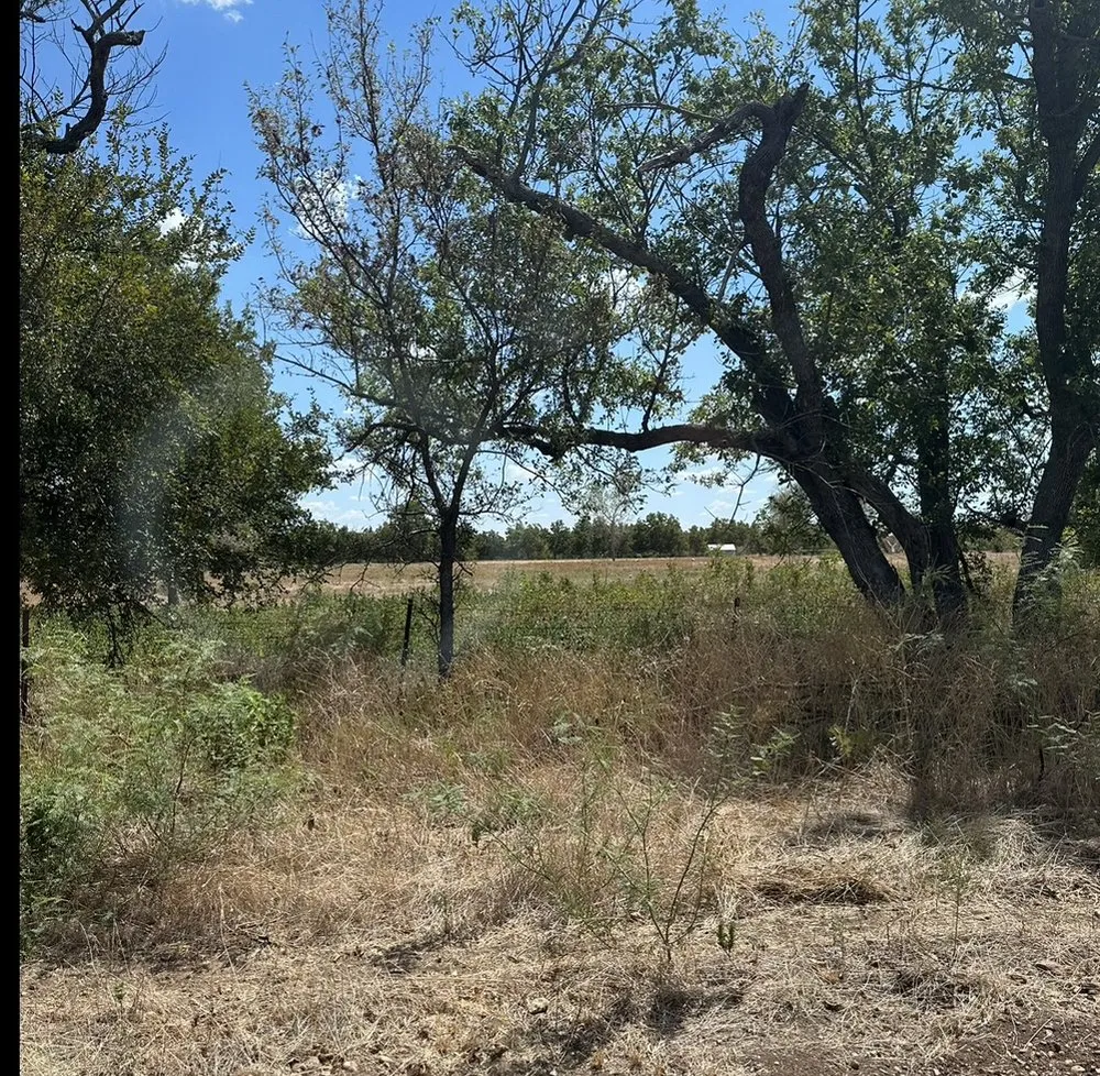 Local yard maintenance in Waco, TX - Yungwell Lawn & Tree Service