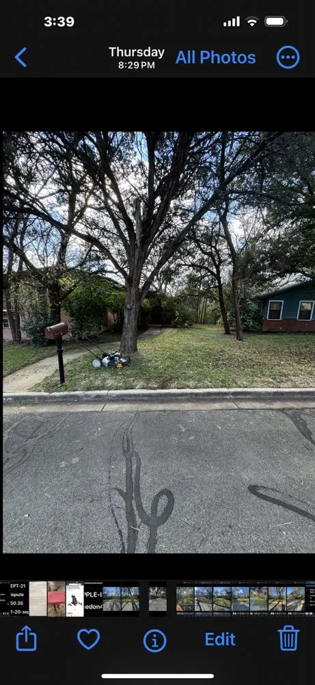 Custom garden landscaping experts serving Waco, TX - Yungwell Lawn & Tree Service