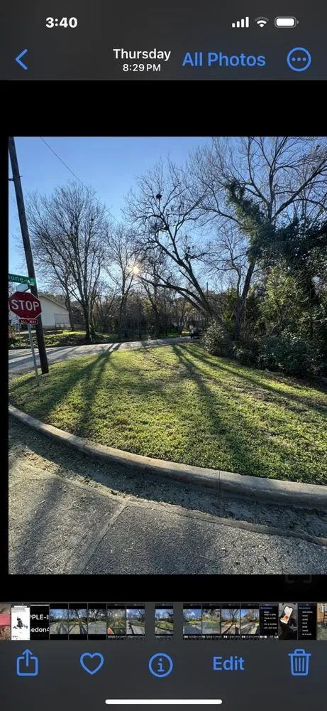 Top-rated lawn care service in Waco, TX - Yungwell Lawn & Tree Service