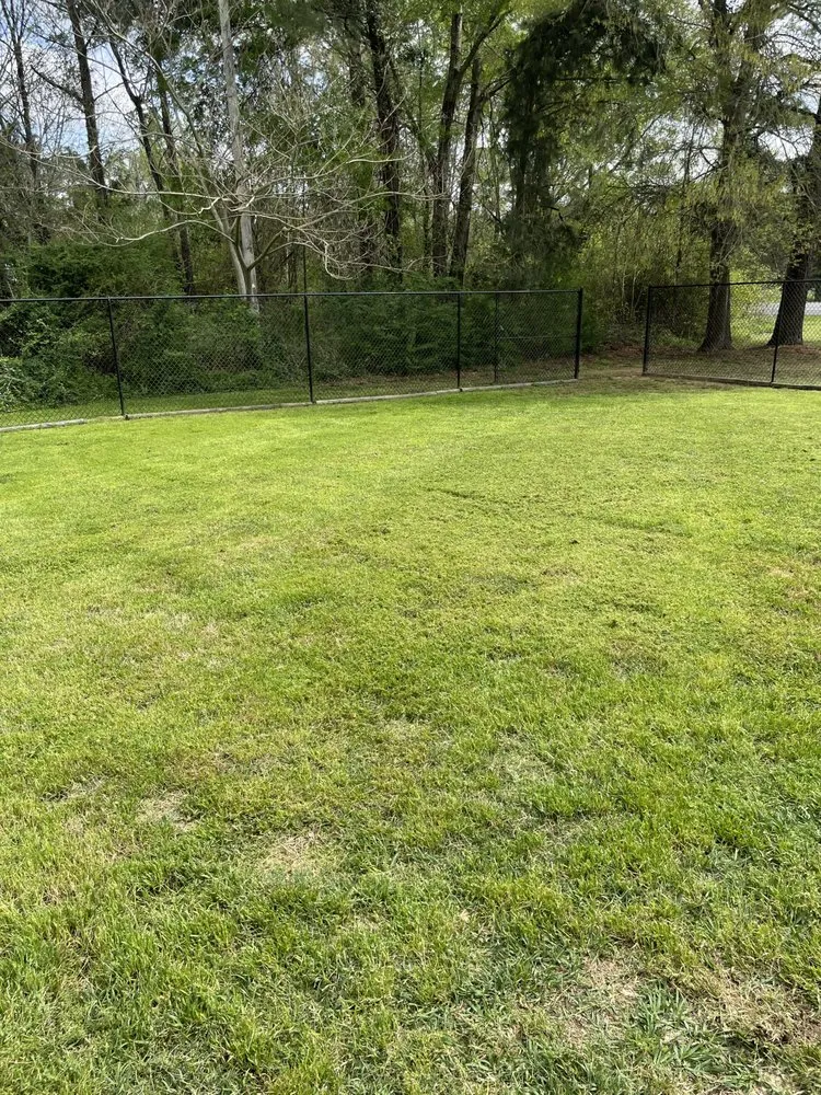 Affordable landscape installation in Henderson, TX by YuYu Mowing