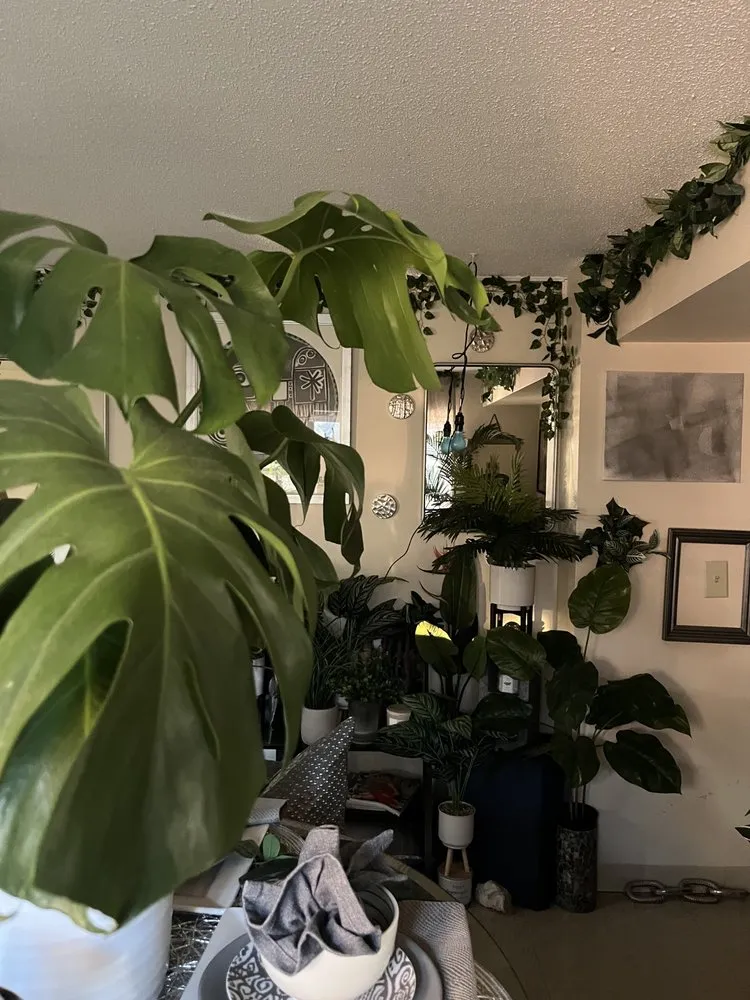 Local landscape design for year-round maintenance across Boston, MA - Yvette Jawad Interior Design & Landscaping