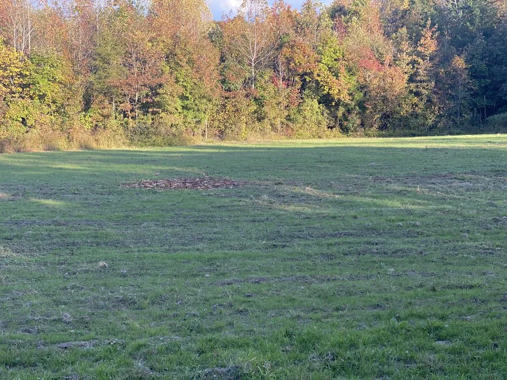 Trusted landscape design near you in Reidsville, NC by YW Pressure Washing and Property Maintenance