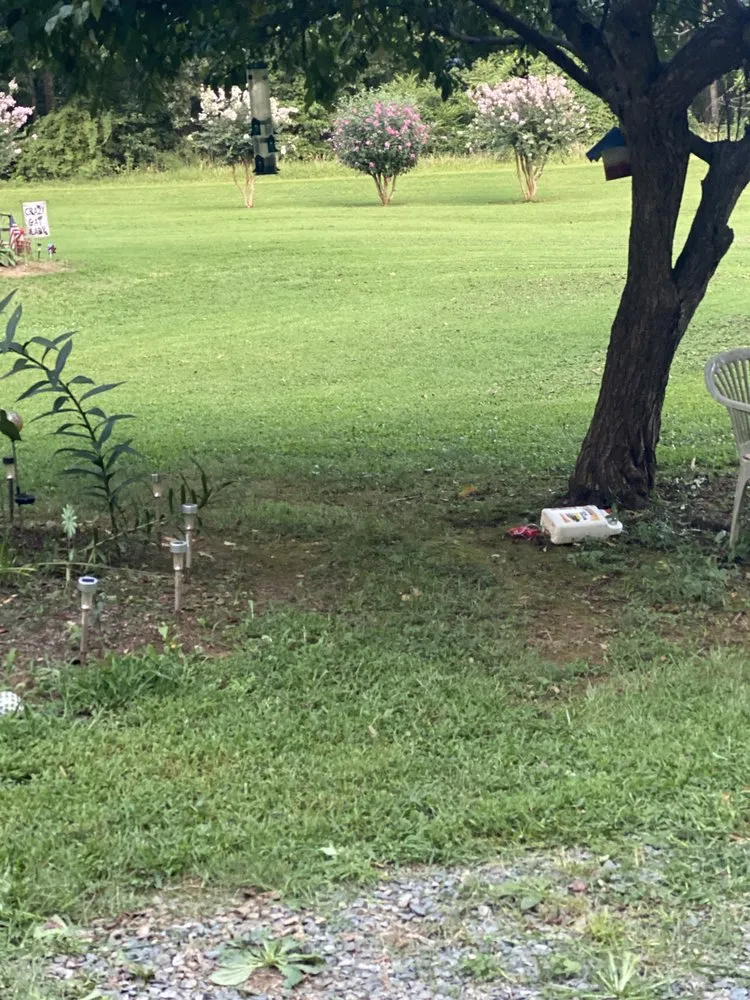 Reliable yard maintenance for year-round maintenance across Reidsville, NC - YW Pressure Washing and Property Maintenance