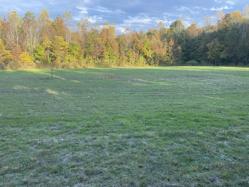 Local yard cleanup service in Reidsville, NC by YW Pressure Washing and Property Maintenance