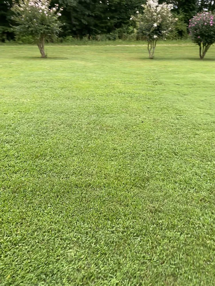 Reliable garden landscaping with custom design across Reidsville, NC - YW Pressure Washing and Property Maintenance