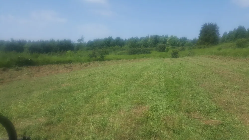 Local landscaping services experts serving Reidsville, NC - YW Pressure Washing and Property Maintenance