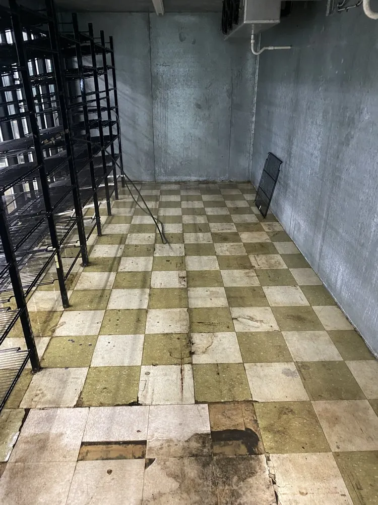 Trusted yard cleanup service in Reidsville, NC - YW Pressure Washing and Property Maintenance