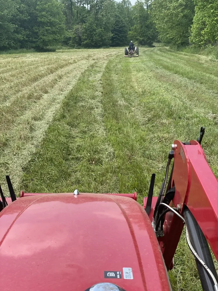 Professional residential landscaping in Reidsville, NC by YW Pressure Washing and Property Maintenance