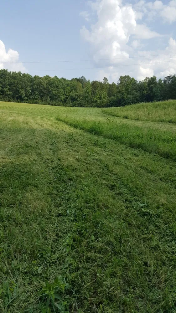 Affordable lawn care service in Reidsville, NC - YW Pressure Washing and Property Maintenance