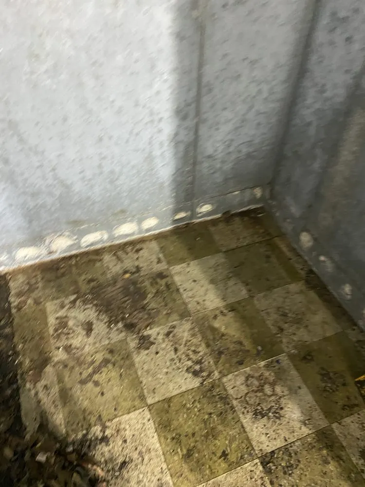 Top-rated yard maintenance for beautiful yards in Reidsville, NC by YW Pressure Washing and Property Maintenance