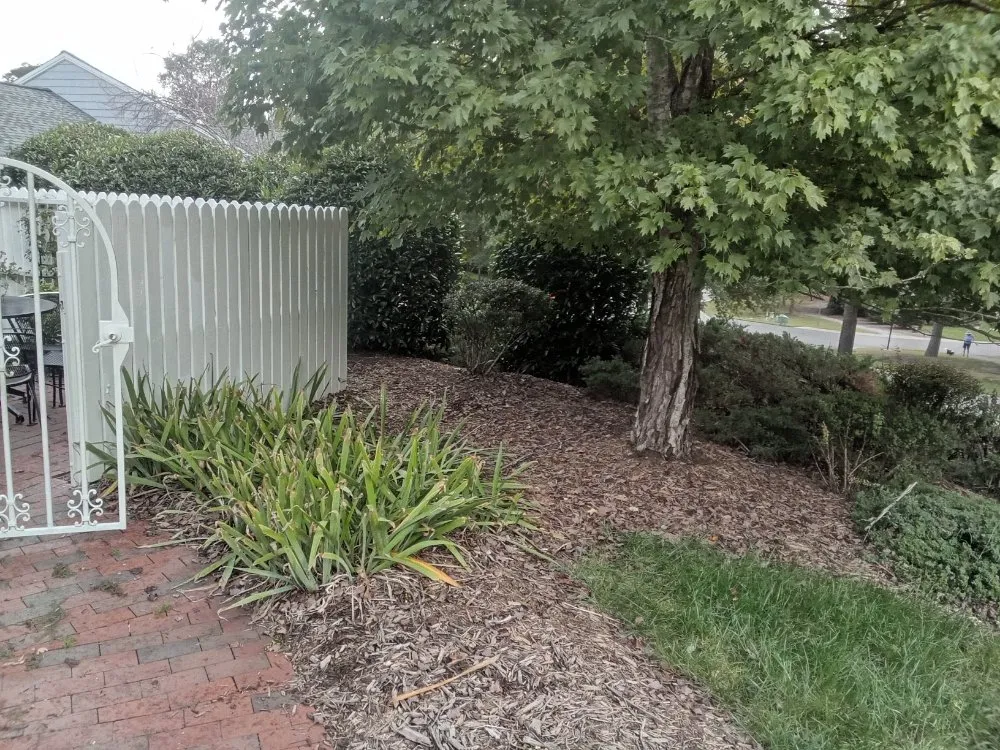 Expert lawn mowing service near you in New Hill, NC by YWC LANDSCAPING