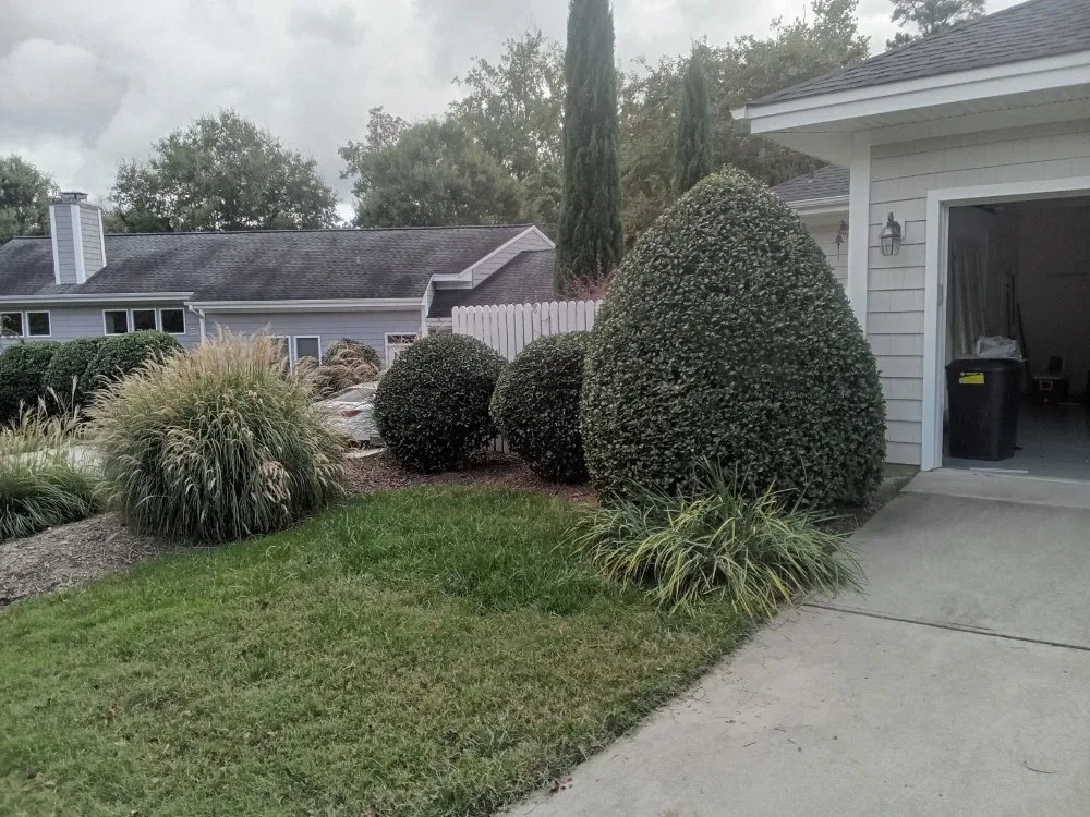 Professional landscape design for outdoor upgrades across New Hill, NC - YWC LANDSCAPING
