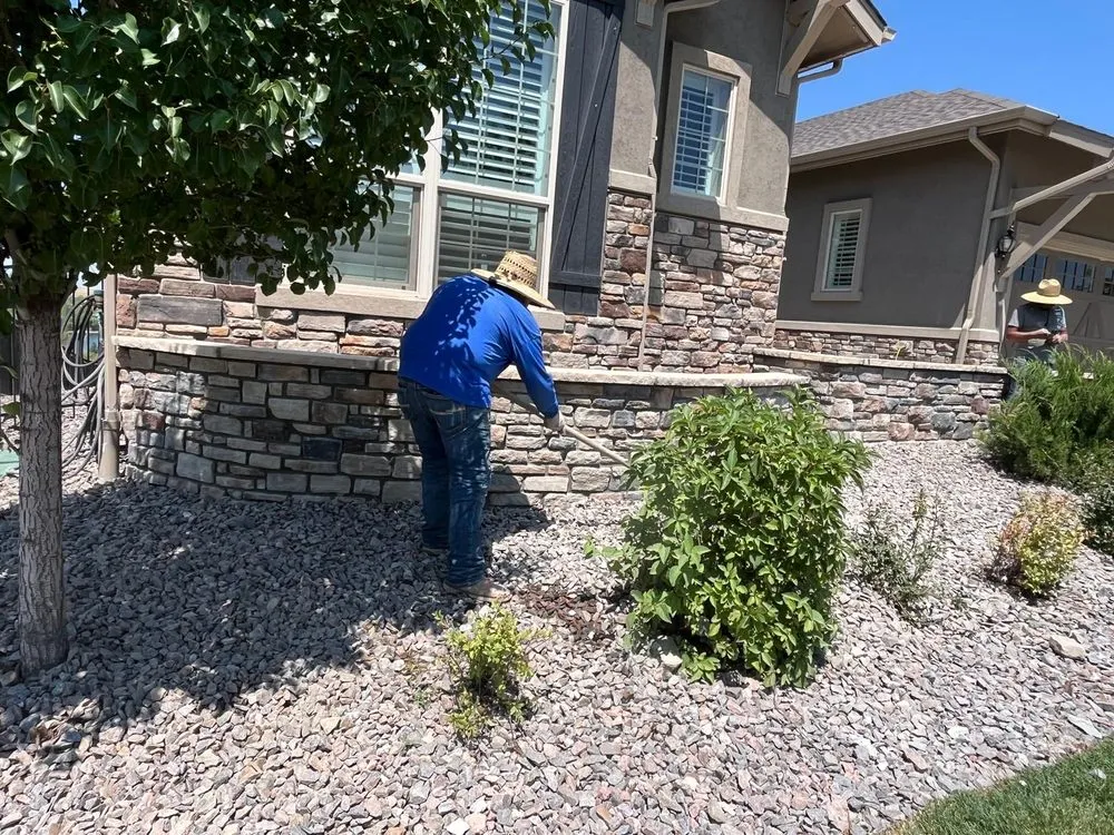 Custom landscape installation in Denver, CO - Y&Y Masonry