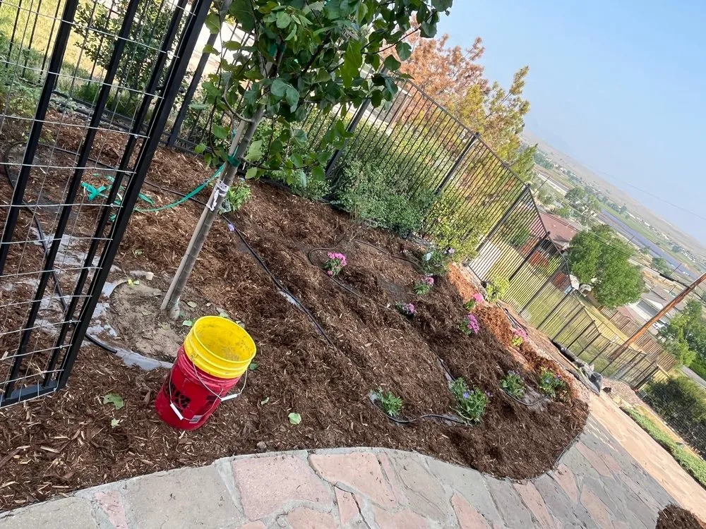 Reliable yard cleanup service in Denver, CO by Y&Y Masonry