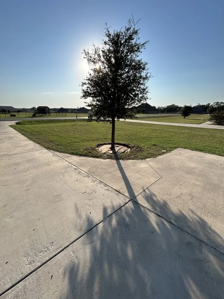 Custom landscape design in Granbury, TX - Y&Y Outdoor Services