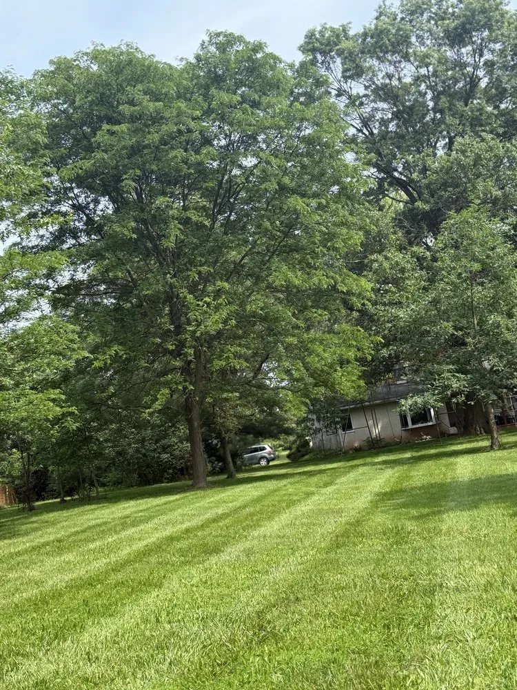 Expert outdoor landscaping for homes across Telford, PA - Y&z lawn care