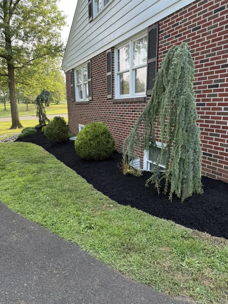 Custom landscaping services for beautiful yards across Telford, PA - Y&z lawn care