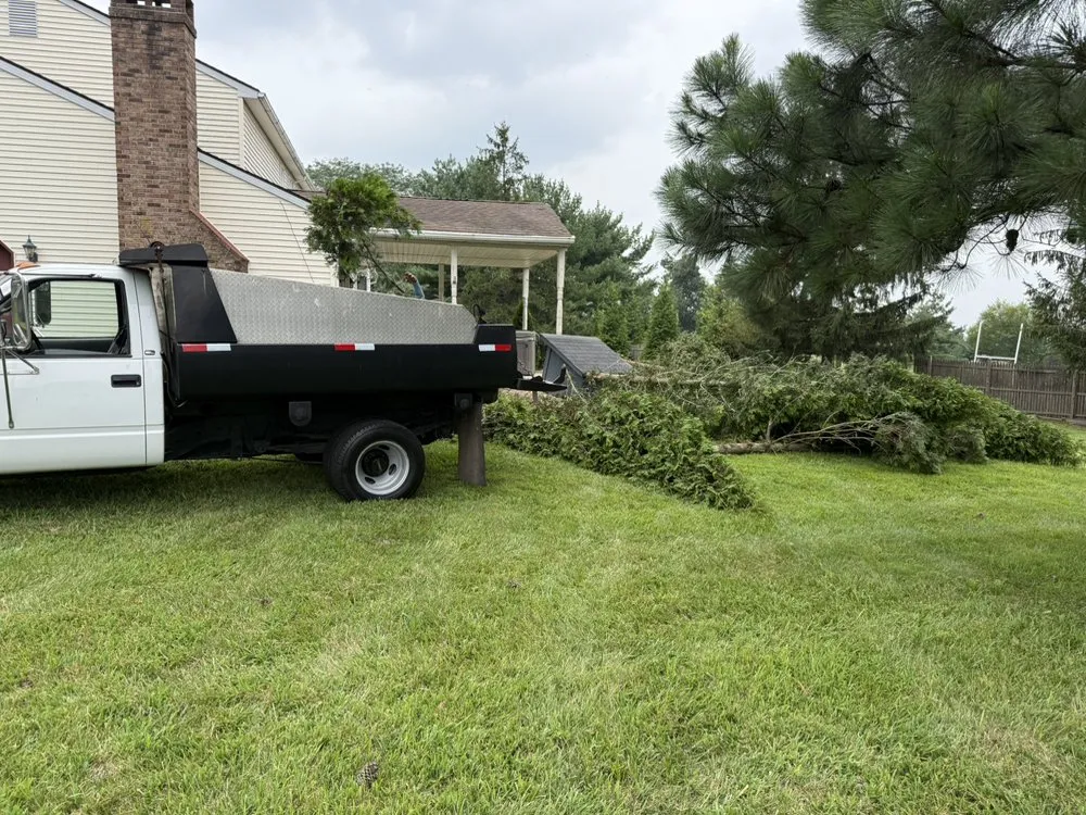 Reliable landscaping services with custom design in Telford, PA by Y&z lawn care