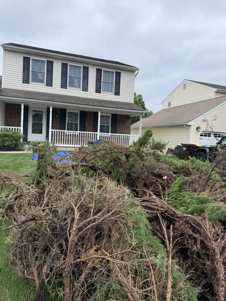 Custom landscape design for residential properties across Telford, PA - Y&z lawn care