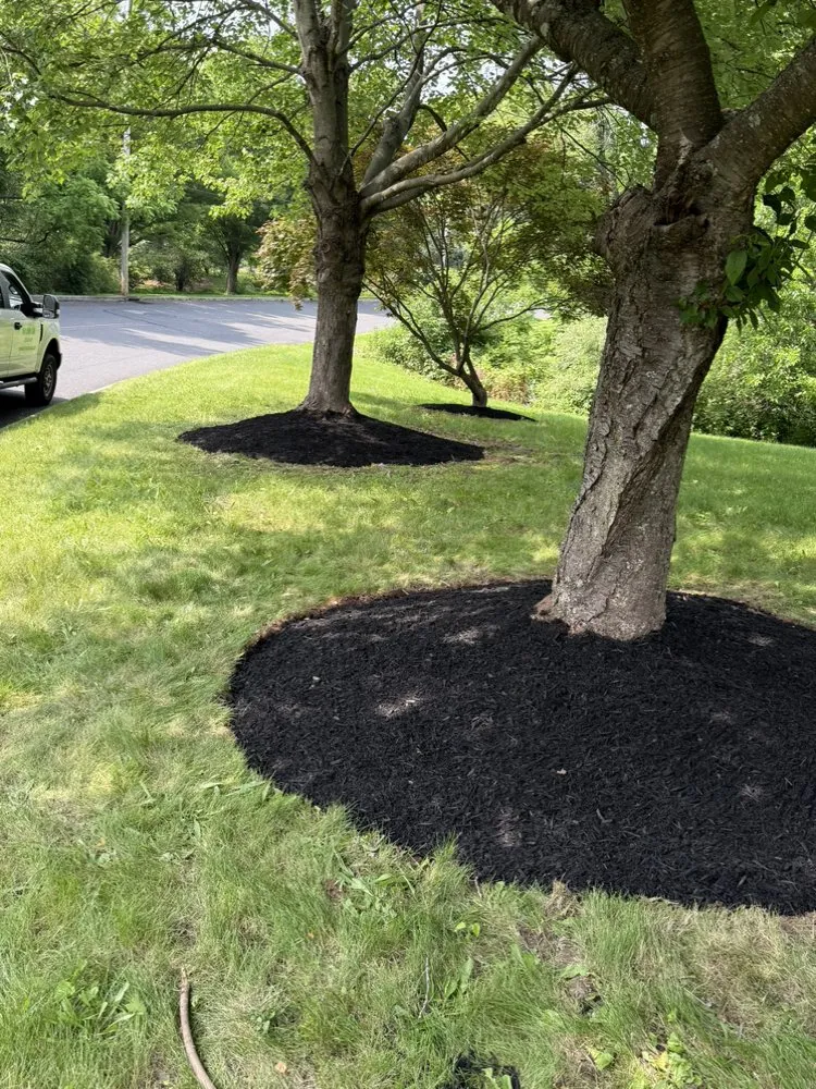 Local landscaping services for beautiful yards in Telford, PA by Y&z lawn care