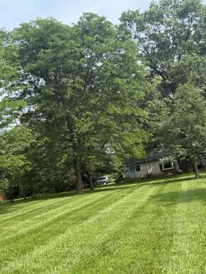 Y&z lawn care