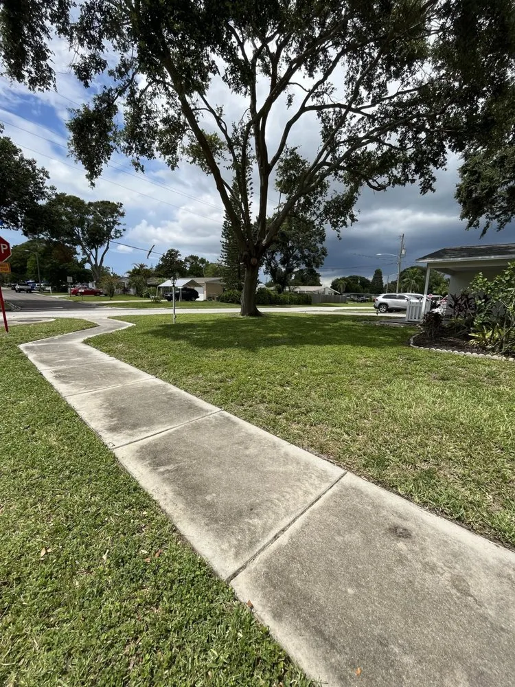 Affordable residential landscaping experts serving Largo, FL - YZY Cleaning & Gardening