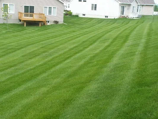 Z and J Landscaping Logo