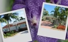 Affordable landscaping services for residential properties across Elk Grove Village, IL - Z Best Landscaping & Maintenance