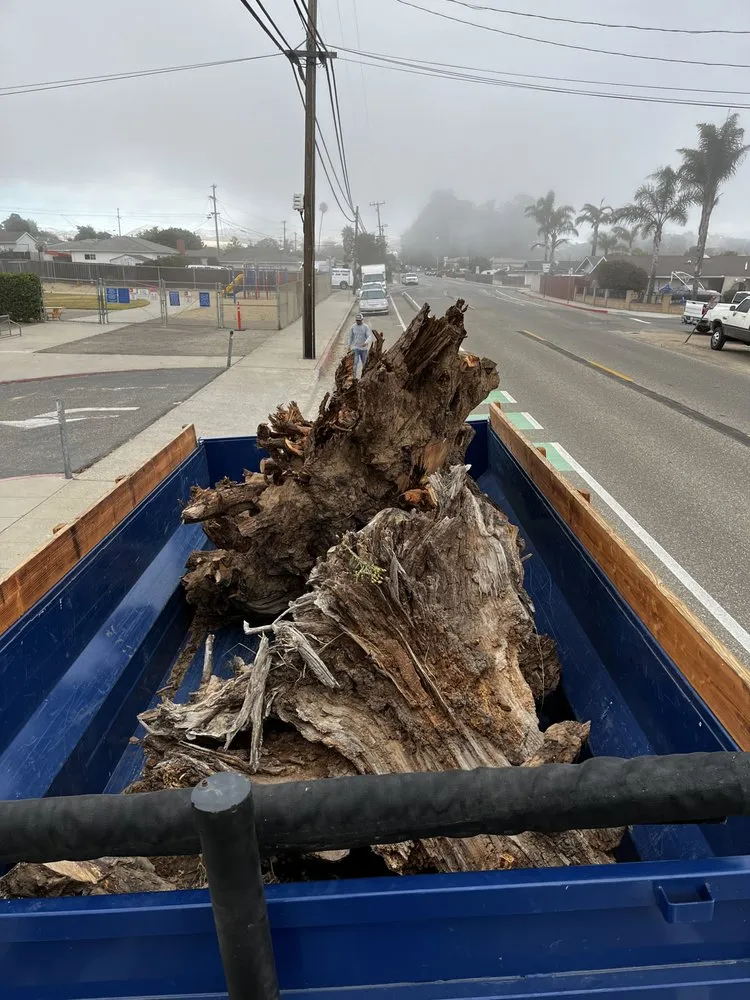 Professional yard maintenance in Grover Beach, CA - Z Boys Landscaping and Junk Removal