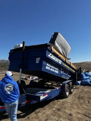 Z Boys Landscaping and Junk Removal