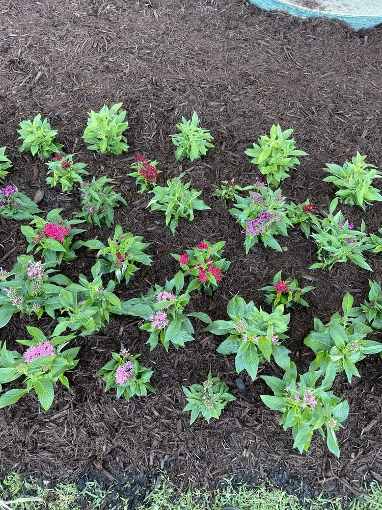 Professional yard maintenance in Robertsdale, AL - Z C Landscaping