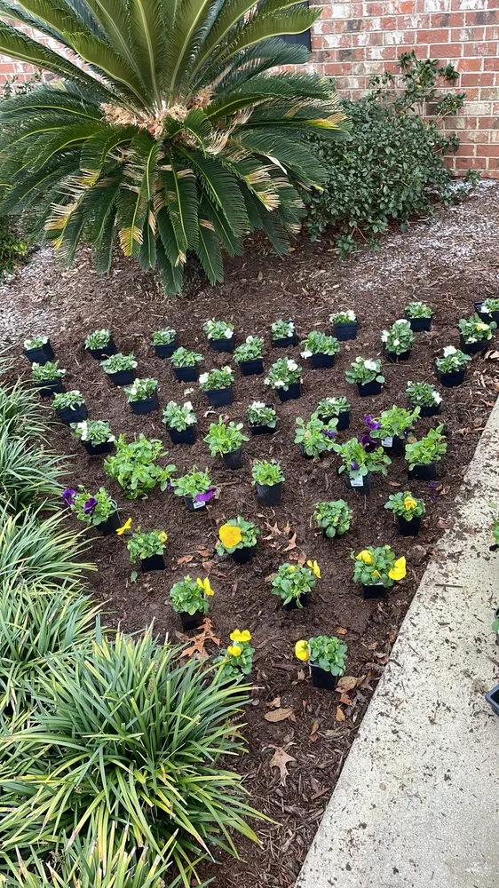 Professional lawn mowing service for year-round maintenance in Robertsdale, AL by Z C Landscaping