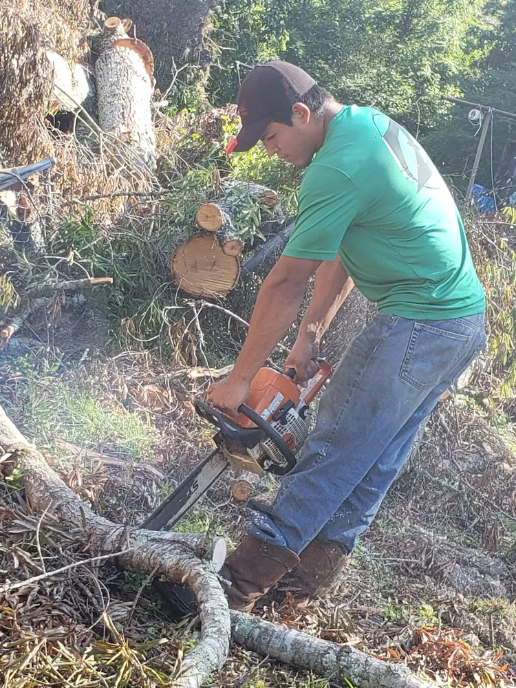 Trusted landscaping services for residential properties across Pinson, AL - Z Core Services