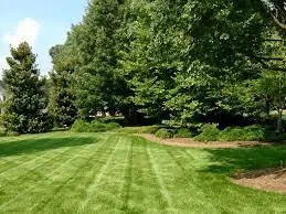 Top-rated yard cleanup service for outdoor upgrades across Forest Heights, MD - Z Garcia Landscaping