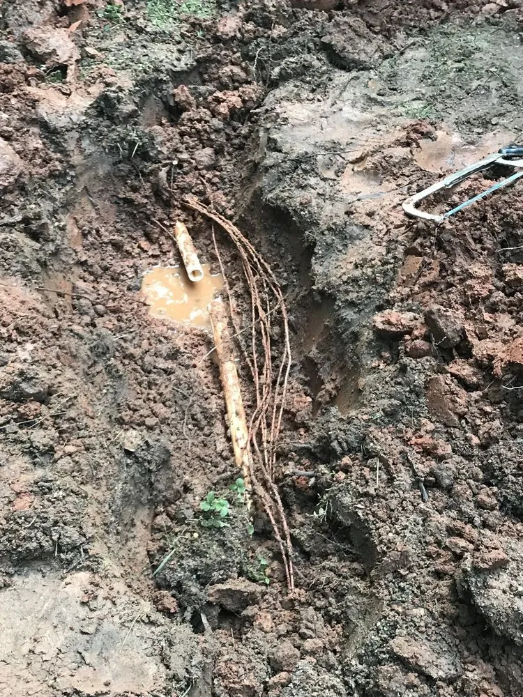 Professional lawn care service for residential properties in Cumming, GA by Z Green Landscape