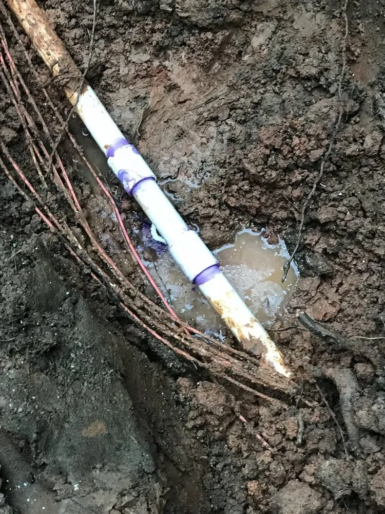 Trusted yard cleanup service in Cumming, GA by Z Green Landscape