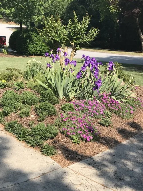 Professional landscaping services in Cumming, GA by Z Green Landscape